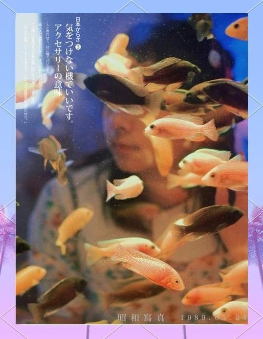 金龍魚高清圖片的分辨率一般是多少（金龍魚高清圖片分辨率）