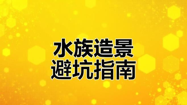 沉木造景有哪些常見誤區（水族箱造景素材簡析之沉木篇）