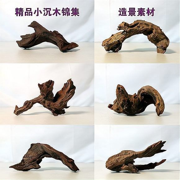 沉木造景有哪些常見誤區（水族箱造景素材簡析之沉木篇）