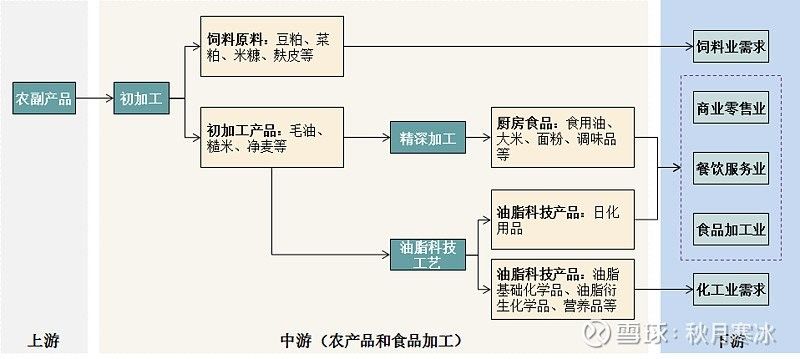 金龍魚生產商的主要產品有哪些（金龍魚品牌有哪些產品）
