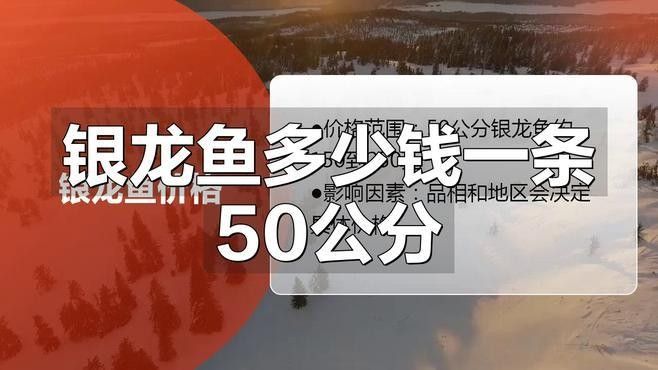 如何區(qū)分真假雪龍銀龍（如何區(qū)分雪龍銀龍）