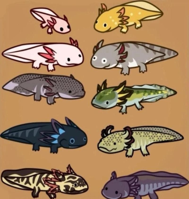 六角恐龍魚多久換一次水（六角恐龍魚幾天換一次水） 六角恐龍魚多久換一次水（六角恐龍魚幾天換一次水） 龍魚百科 第7張