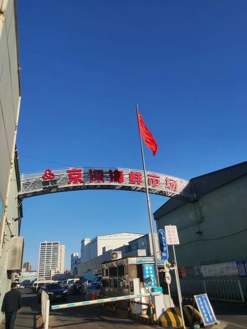 哪里可以購(gòu)買到南鱧？（南鱧的購(gòu)買渠道有哪些？）