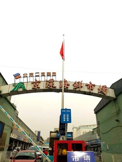 哪里可以購(gòu)買到南鱧？（南鱧的購(gòu)買渠道有哪些？）
