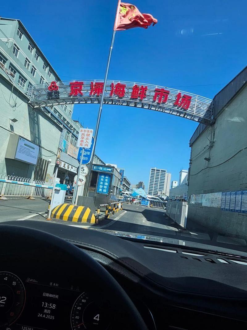 哪里可以購(gòu)買到南鱧？（南鱧的購(gòu)買渠道有哪些？）