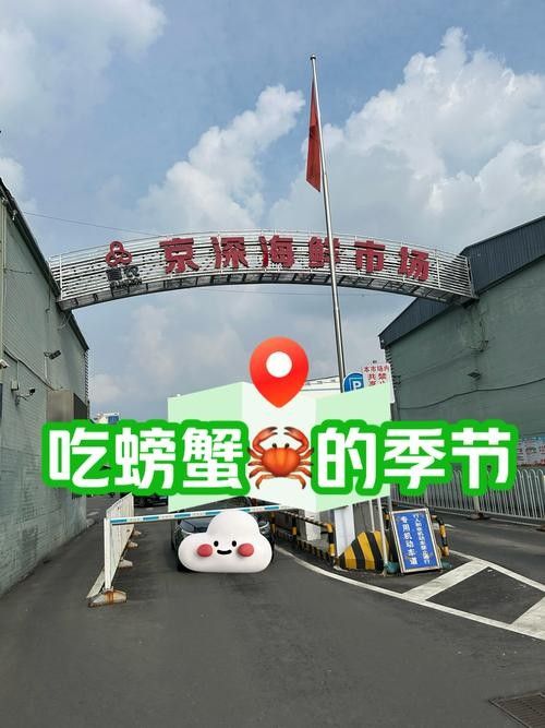 哪里可以購(gòu)買到南鱧？（南鱧的購(gòu)買渠道有哪些？）