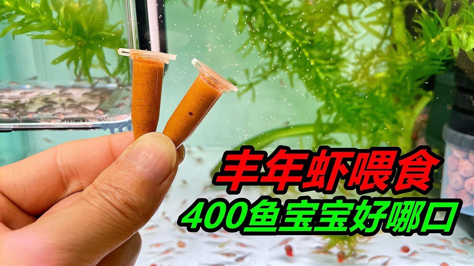 六角恐龍魚吃什么食物？（六角恐龍魚吃什么長(zhǎng)得快）