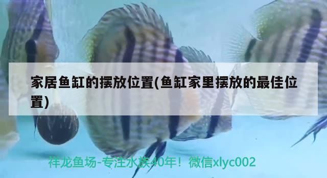 為何養魚要擇日，最近有什么好看的日漫或國漫（《斗羅大陸》養魚擇日）