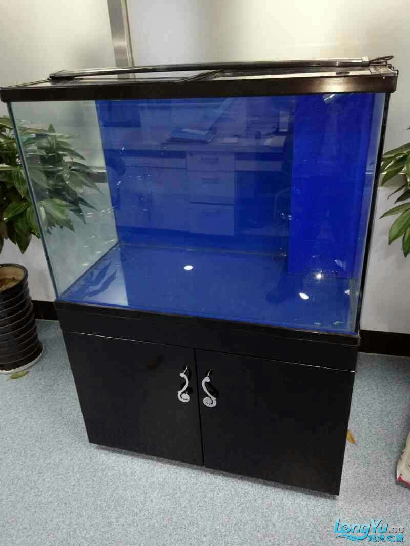 觀賞魚多久喂一次食合適，新手避坑必看金鏟攻略：觀賞魚多久喂一次一次食合適