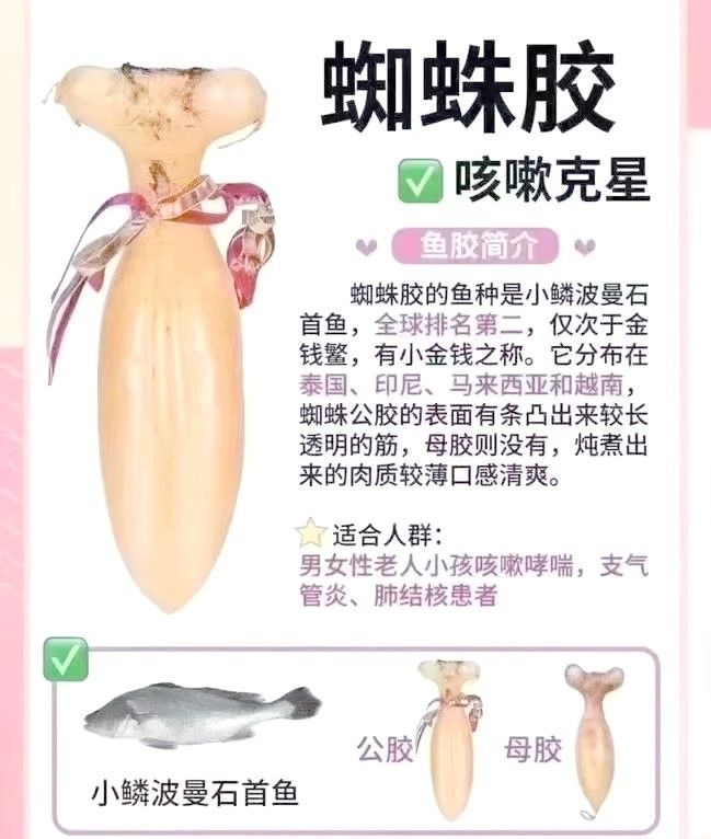 金龍魚膠和北海魚膠哪個更滋補（金龍魚膠和北海魚膠哪個好）