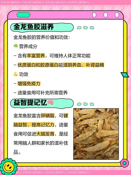 金龍魚膠和北海魚膠哪個更滋補（金龍魚膠和北海魚膠哪個好）