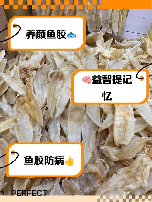 金龍魚膠和北海魚膠哪個更滋補（金龍魚膠和北海魚膠哪個好）