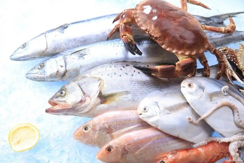 龍魚麻藥殘留如何檢測（龍魚麻藥殘留檢測方法） 龍魚麻藥殘留如何檢測（龍魚麻藥殘留檢測方法） 龍魚百科 第3張