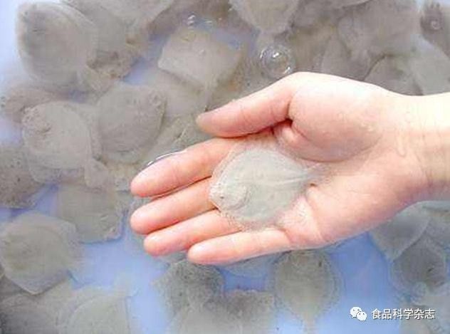 龍魚麻醉劑MS-222的用量（魚麻醉劑ms-222對于確保龍魚的安全至關重要）