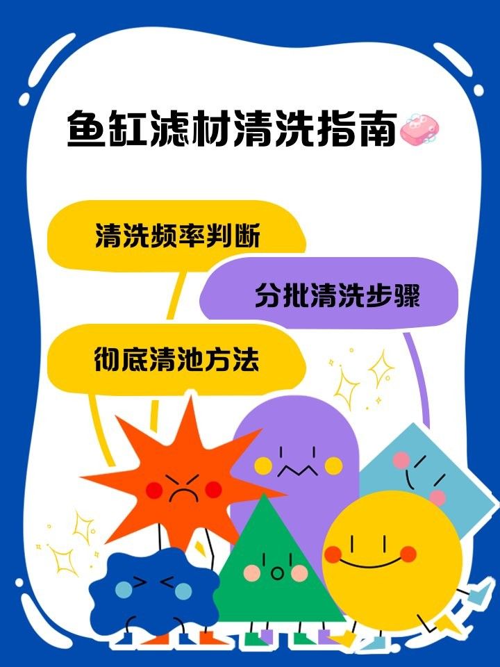 多久清洗一次濾材？（養魚大全魚缸濾材清洗頻率大揭秘）
