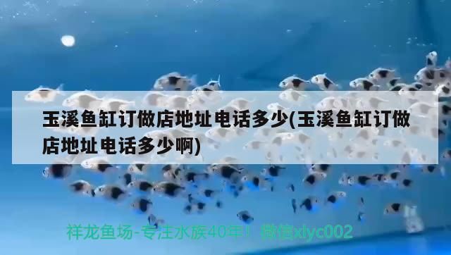 玉溪魚缸訂做店地址電話多少(玉溪魚缸訂做店地址電話多少啊)（關于玉溪魚缸訂做店地址電話多少） 玉溪魚缸訂做店地址電話多少(玉溪魚缸訂做店地址電話多少啊)（關于玉溪魚缸訂做店地址電話多少） 觀賞魚百科