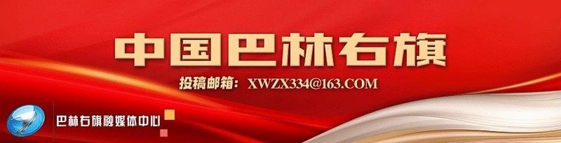 龍龜圖片版權登記流程是怎樣的？（龍龜圖片版權登記流程） 龍龜圖片版權登記流程是怎樣的？（龍龜圖片版權登記流程） 龍魚百科 第7張