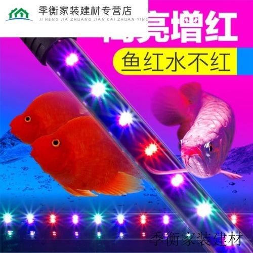 龍魚(yú)燈光有哪些品牌推薦？（魚(yú)燈光是養(yǎng)龍魚(yú)時(shí)不可或缺的輔助工具品牌推薦）