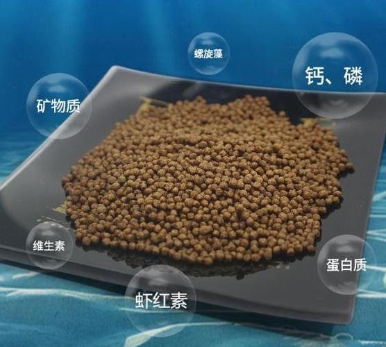 海龍魚飼料有哪些品牌？（京東紅龍魚飼料品牌排行榜） 海龍魚飼料有哪些品牌？（京東紅龍魚飼料品牌排行榜） 龍魚百科 第6張