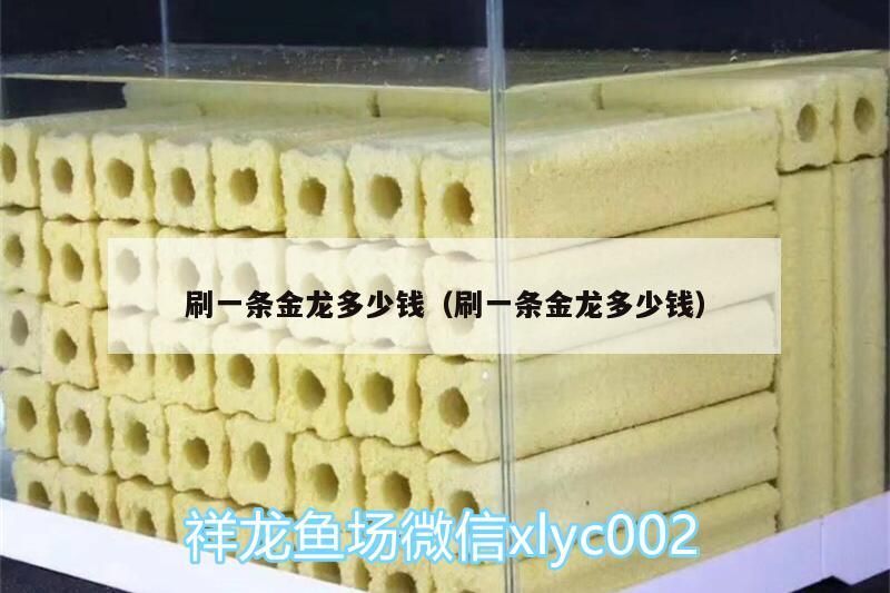 魚缸用增氧泵價格是多少:魚缸增氧機-xtrac增氧機-xtrac增氧機 刷一條金龍多少錢(刷一條金龍多少錢)(刷一條金龍多少錢) 觀賞魚百科 刷一條金龍多少錢(刷一條金龍多少錢)(刷一條金龍多少錢) 刷一條金龍多少錢(刷一條金龍多少錢)(刷一條金龍多少錢) 觀賞魚百科