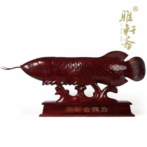 大號的紅木金龍魚擺件有哪些款式（大號紅木金龍魚擺件排行榜京東聽,哪款適合放在玄關） 大號的紅木金龍魚擺件有哪些款式（大號紅木金龍魚擺件排行榜京東聽,哪款適合放在玄關） 龍魚百科 第5張