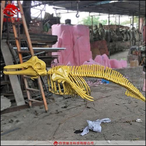 龍魚化石的價格是多少（龍魚化石有哪些稀有品種？）