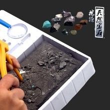 龍魚化石的價格是多少（龍魚化石有哪些稀有品種？）