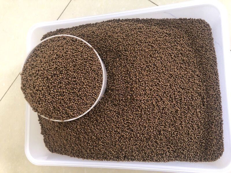 銀板魚苗飼料自制方法（銀板魚苗的飼料配方） 銀板魚苗飼料自制方法（銀板魚苗的飼料配方） 觀賞魚百科 第1張