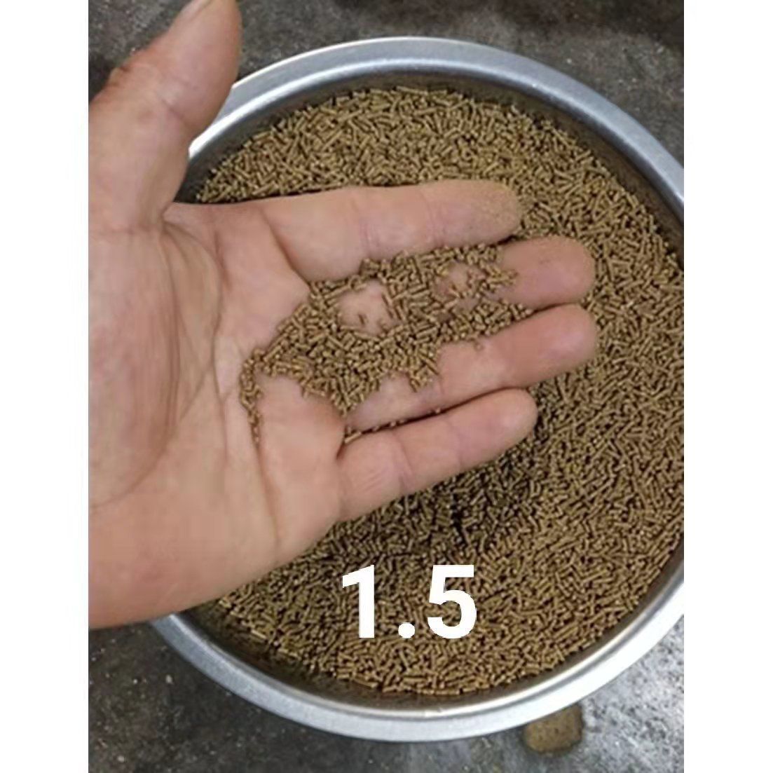 銀板魚苗飼料自制方法（銀板魚苗的飼料配方） 銀板魚苗飼料自制方法（銀板魚苗的飼料配方） 觀賞魚百科 第4張