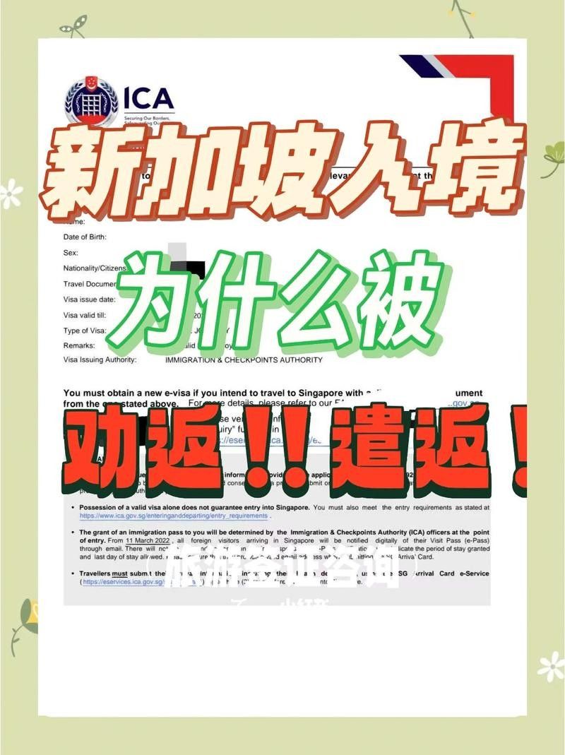 新加坡進口金龍魚有哪些附加費？（新加坡進口金龍魚有哪些注意事項？）