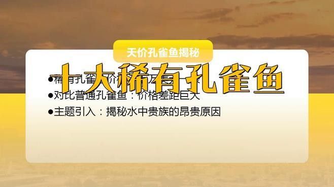 孔雀龍魚哪個品種最貴？（孔雀龍魚品種大揭秘） 孔雀龍魚哪個品種最貴？（孔雀龍魚品種大揭秘） 龍魚百科 第7張