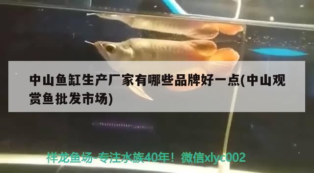中山魚缸生產廠家有哪些品牌好一點(中山觀賞魚批發市場)（中山魚缸生產廠家2月份有人發布一排行榜）