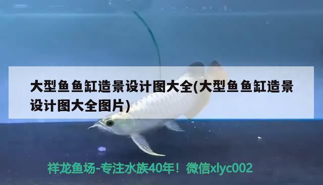 大型魚魚缸造景設計圖大全(大型魚魚缸造景設計圖大全圖片)（大型魚缸造景設計圖）