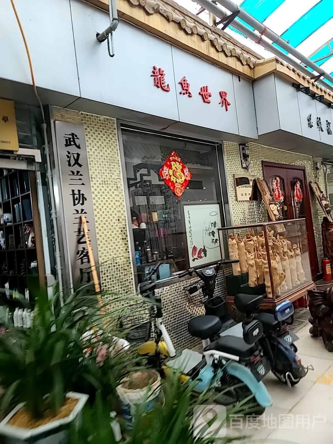 <strong><mark>江岸</mark></strong>哪個水族館龍魚好？祥龍魚場龍魚（<strong><mark>江岸</mark></strong>區(qū)哪家水族館的龍魚性價比最高？）