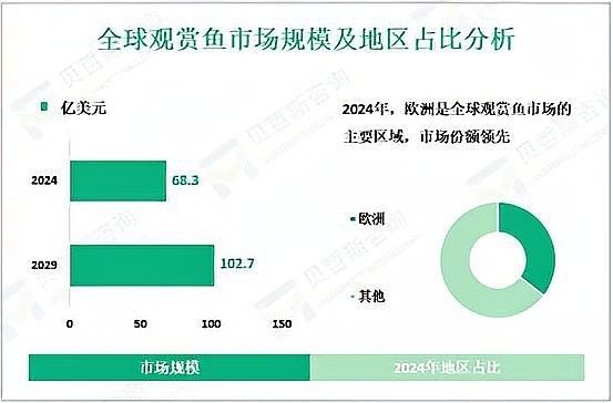 斑紋龍魚的市場需求如何