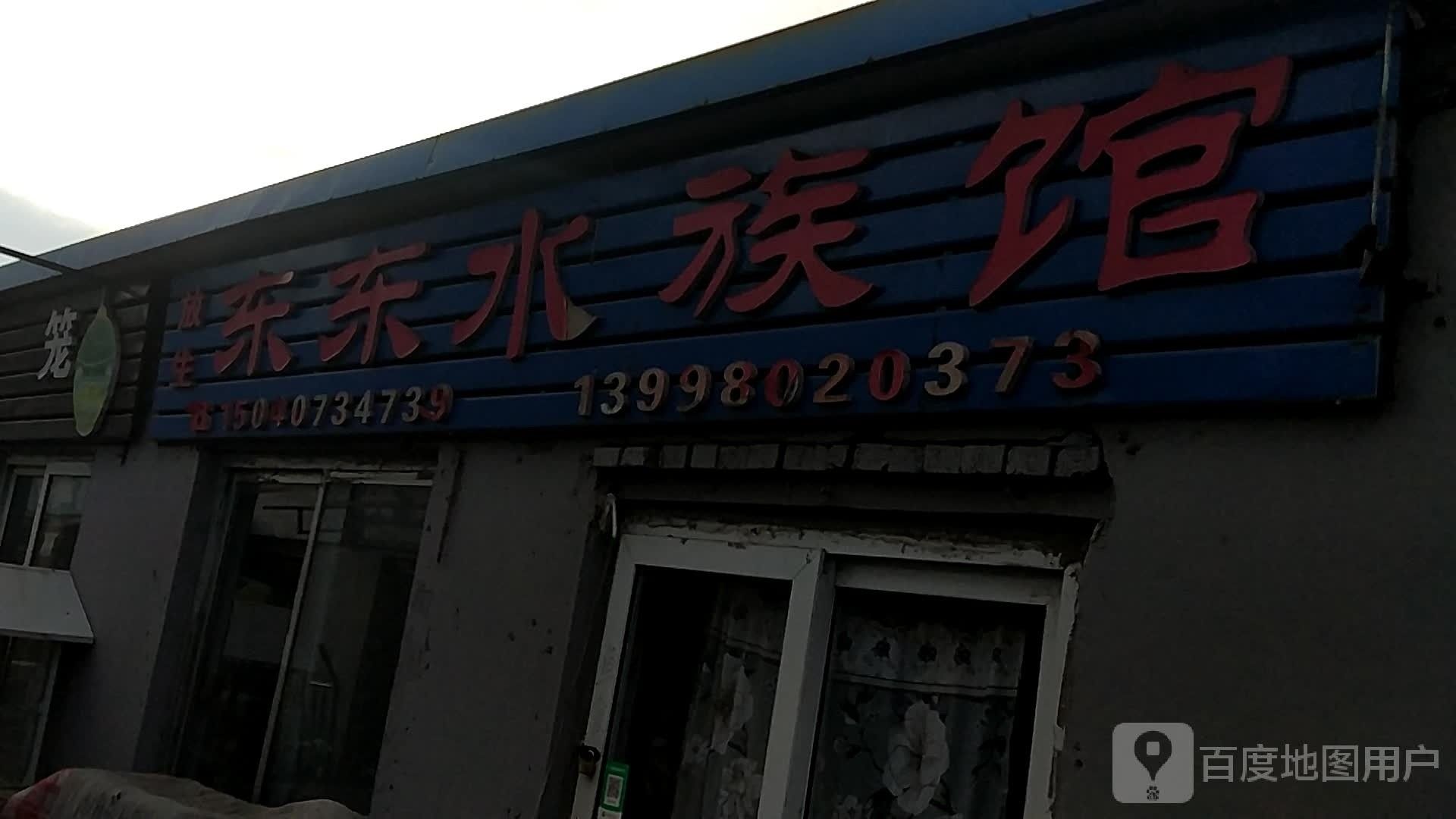 鞍山鐵西哪個水族館龍魚好？祥龍魚場龍魚（鞍山哪個水族館龍魚好） 鞍山鐵西哪個水族館龍魚好？祥龍魚場龍魚（鞍山哪個水族館龍魚好） 龍魚百科 第6張