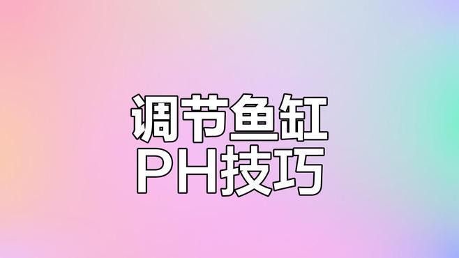如何調整金龍魚缸的pH值（如何調整金龍魚缸的ph值？）
