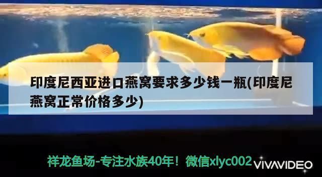 魚缸過濾器選購指南:自制魚缸過濾器魚缸上置過濾器對于養魚愛好者的必備知識 印度尼西亞進口燕窩要求多少錢一瓶(印度尼燕窩正常價格多少)(印尼進口燕窩要求多少錢一瓶和印度尼西亞進口燕窩要求多少錢一瓶) 觀賞魚百科 印度尼西亞進口燕窩要求多少錢一瓶(印度尼燕窩正常價格多少)(印尼進口燕窩要求多少錢一瓶和印度尼西亞進口燕窩要求多少錢一瓶) 印度尼西亞進口燕窩要求多少錢一瓶(印度尼燕窩正常價格多少)(印尼進口燕窩要求多少錢一瓶和印度尼西亞進口燕窩要求多少錢一瓶) 觀賞魚百科