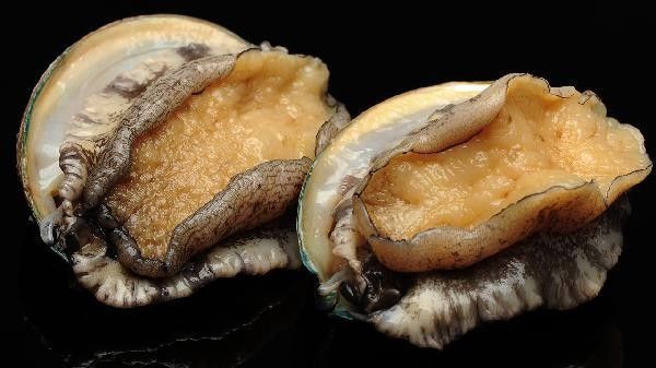 如何判斷金龍魚是否吞下異物（如何判斷金龍魚是否吞下異物？）