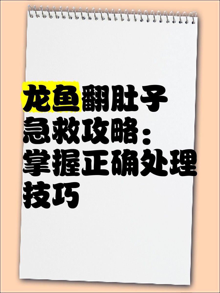 藍龍魚翻肚后還有救嗎（龍魚“翻肚”了咋辦）