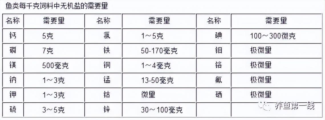 金龍魚的最佳水溫：金龍魚在什么最佳水溫下生長得最好呢？
