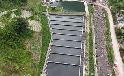 涼山彝族自治州有哪些知名的龍魚養(yǎng)殖場（涼山彝族自治州一些知名的龍魚養(yǎng)殖場的簡要介紹） 涼山彝族自治州有哪些知名的龍魚養(yǎng)殖場（涼山彝族自治州一些知名的龍魚養(yǎng)殖場的簡要介紹） 龍魚百科 第2張