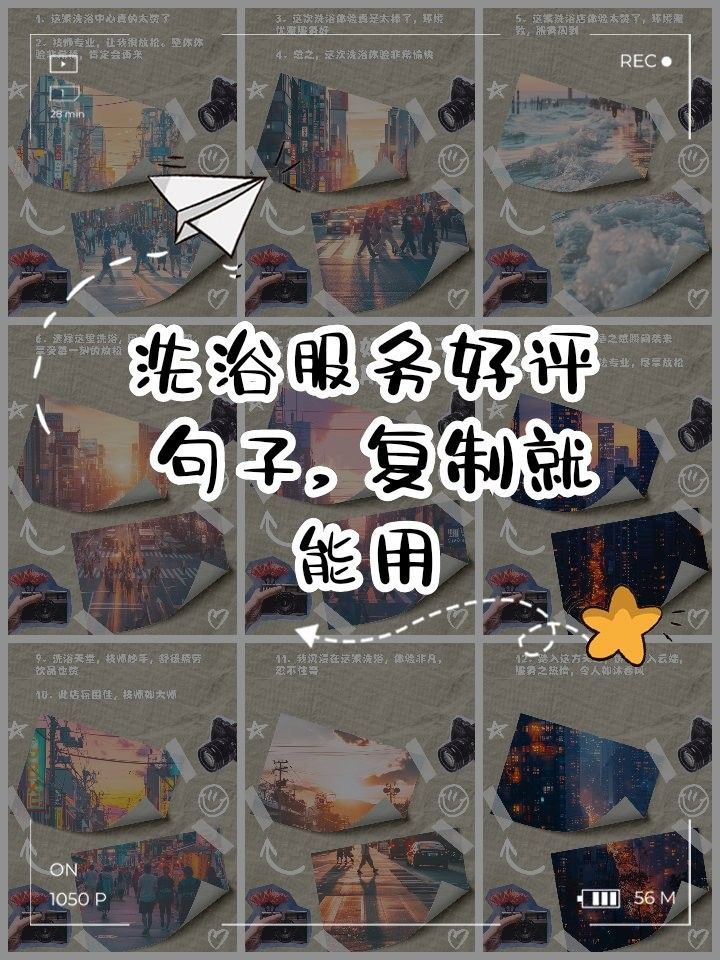 成都龍魚閣水族箱專賣店的口碑如何（成都龍魚閣水族箱專賣店）