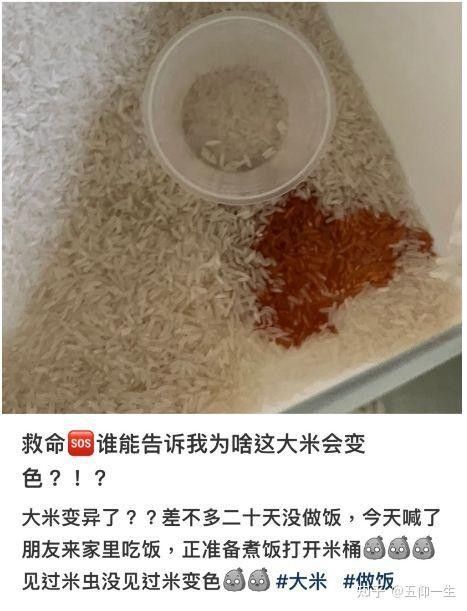 如何判斷龍魚飼料是否變質？（如何判斷龍魚飼料是否已經變質？）