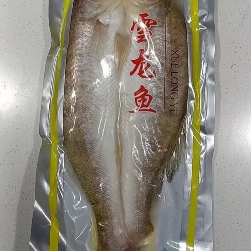 給我幾張雪龍魚的高清圖片（雪龍魚的價格是多少？） 給我幾張雪龍魚的高清圖片（雪龍魚的價格是多少？） 龍魚百科 第13張