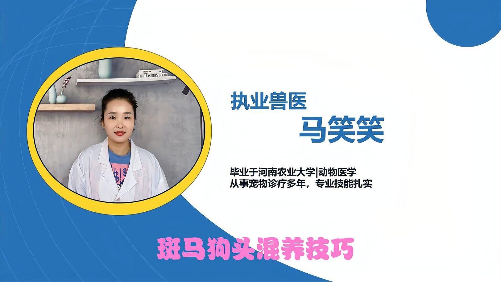 斑馬狗頭魚和布隆迪魚混養(yǎng)需要哪些條件？（斑馬狗頭魚和布隆迪魚混養(yǎng)需要滿足以下條件）