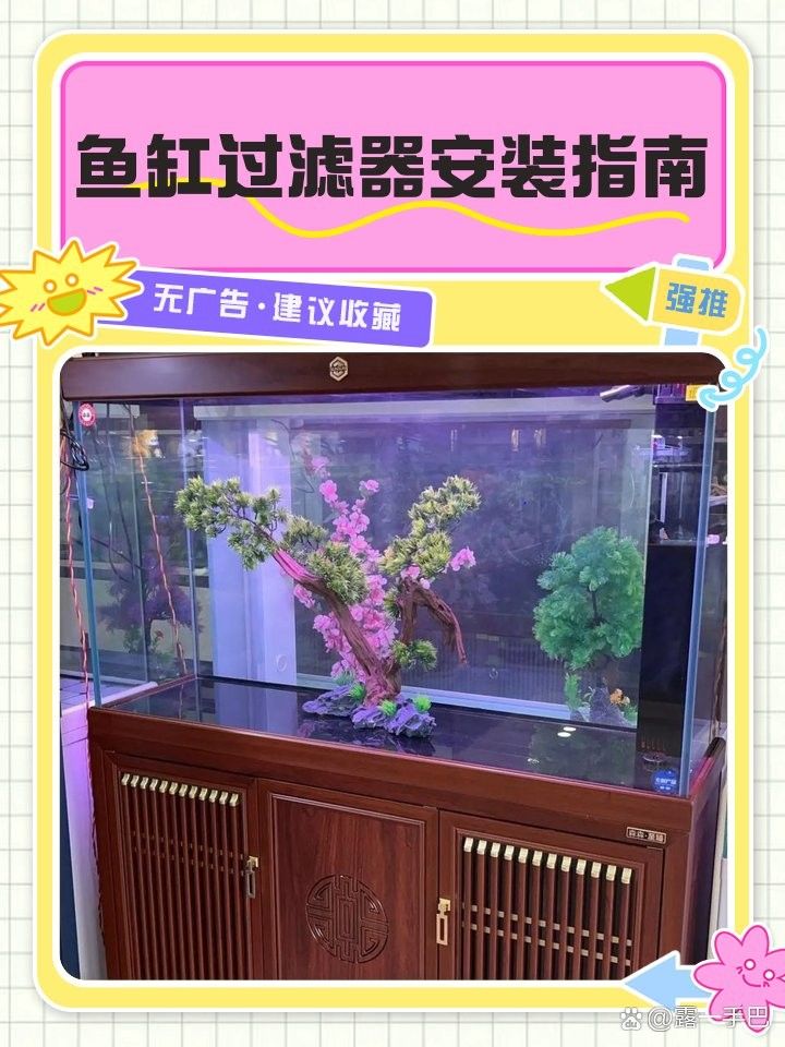 龍魚缸過濾系統安裝步驟