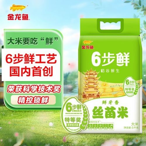 金龍魚絲苗米哪個品種最好吃？
