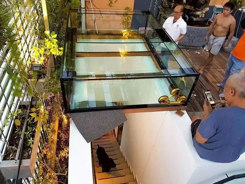 金龍魚核心產(chǎn)品：金龍魚的核心業(yè)務(wù)解析