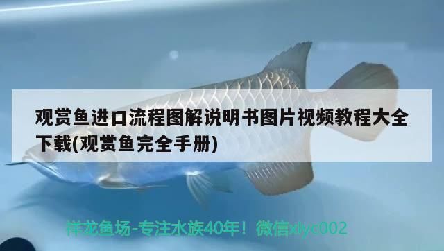 東平哪里有賣魚缸的地方啊圖片（裝飾用品天地）